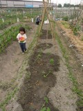 20090524